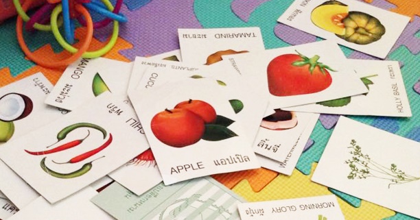 บัตรคำ, บัตรคำภาษาอังกฤษ, บัตรคำสอนภาษา, Flashcards, แฟรชการ์ด, แฟลชการ์ด, สอนภาษาอังกฤษให้ลูก, สอนลูกพูดภาษาอังกฤษ, ลูกเก่งภาษา, การเล่นของลูก, การเล่นของเด็ก, ลูกฉลาด, เด็กฉ,อด, เลี้ยงลูกให้ฉลาด, สอนลูกให้ฉลาด, พัฒนาการเด็ก, Ovaltine Smart, โอวัลติน สมาร์ท