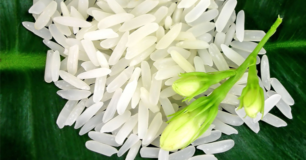 ข้าวสาร_ทำความสะอาดข้าว_หุงข้าว life_up_date_momypedia.com