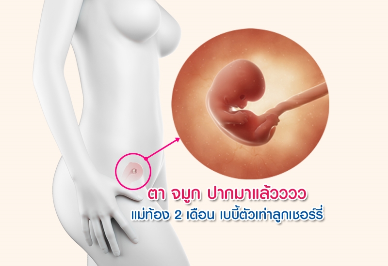 ตั้ง ครรภ์ 2 เดือน, อายุ ครรภ์ 2 เดือน, คนท้อง 2 เดือน, แม่ท้อง 2 เดือน, ตั้งครรภ์ 8 สัปดาห์, ท้องแรก, เพิ่งรู้ตัวว่าท้อง, ท้องอ่อนๆ, ท้องเดือนแรก, ท้องเดือนที่ 2, ตั้งครรภ์เดือนที่ 2, ตั้งครรภ์ไตรมาสที่ 1, ท้องไตรมาสที่ 1, ท้องไตรมาสแรก, ท้อง 2 เดือน, คุณแม่มือใหม่, พัฒนาการทารกในครรภ์ 2 เดือน, พัฒนาการทารกในครรภ์ 5 สัปดาห์, พัฒนาการทารกในครรภ์ 6 สัปดาห์, พัฒนาการทารกในครรภ์ 7 สัปดาห์, พัฒนาการทารกในครรภ์ 8 สัปดาห์, ตรวจครรภ์, ตรวจสุขภาพครรภ์, ฝากครรภ์, หญิงตั้งครรภ์, การตั้งครรภ์, พัฒนาการครรภ์, รักลูก