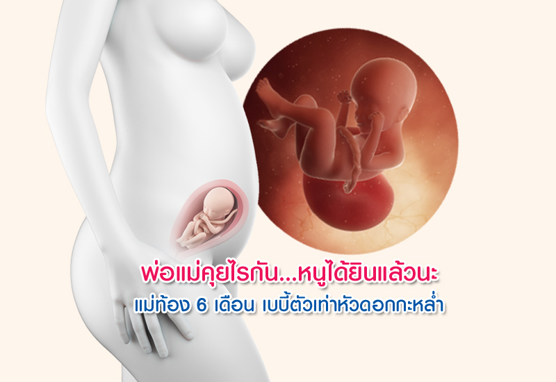 ตั้ง ครรภ์ 6 เดือน, อายุ ครรภ์ 6 เดือน, คนท้อง 6 เดือน, แม่ท้อง 6 เดือน, ตั้งครรภ์ 24 สัปดาห์, ท้องแรก, เพิ่งรู้ตัวว่าท้อง, ท้องอ่อนๆ, ท้องเดือนแรก, ท้องเดือนที่ 6, ตั้งครรภ์เดือนที่ 6, ตั้งครรภ์ไตรมาสที่ 2, ท้องไตรมาสที่ 2, ท้องไตรมาสสอง, คุณแม่มือใหม่, พัฒนาการทารกในครรภ์ 6 เดือน, พัฒนาการทารกในครรภ์ 21สัปดาห์, พัฒนาการทารกในครรภ์ 22 สัปดาห์, พัฒนาการทารกในครรภ์ 23 สัปดาห์, พัฒนาการทารกในครรภ์ 24 สัปดาห์, ตรวจครรภ์, ตรวจสุขภาพครรภ์, ฝากครรภ์, หญิงตั้งครรภ์, การตั้งครรภ์, พัฒนาการครรภ์, รักลูก