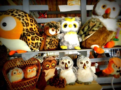 owl art museum, นกฮูก, พิพิธภัณฑ์ศิลปะนกฮูก,พิพิธภัณฑ์นกฮูก,นครปฐม,สัตว์กลางคืน,นก,สัตว์ปีก,