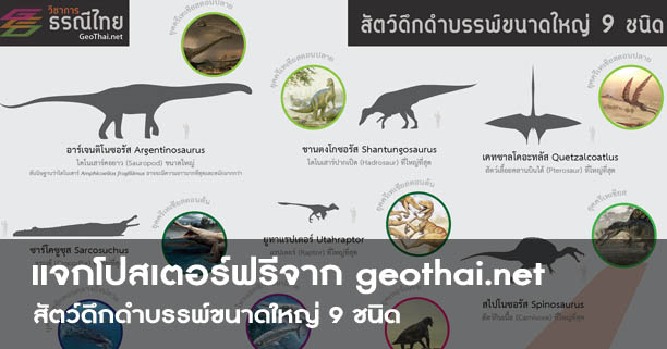 โปสเตอร์,สื่อการเรียนรู้,สัตว์ดึกดำบรรพ์ขนาดใหญ่ 9 ชนิด,Geothai,ไดโนเสาร์,dinosaur โปสเตอร์,สื่อการเรียนรู้,สัตว์ดึกดำบรรพ์ขนาดใหญ่ 9 ชนิด,Geothai,ไดโนเสาร์,dinosaur