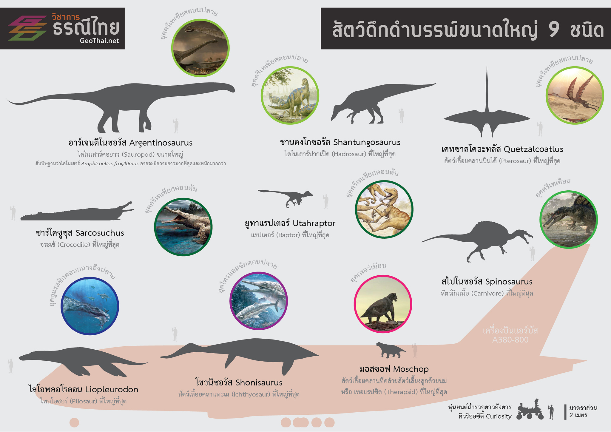 โปสเตอร์,สื่อการเรียนรู้,สัตว์ดึกดำบรรพ์ขนาดใหญ่ 9 ชนิด,Geothai,ไดโนเสาร์,dinosaur โปสเตอร์,สื่อการเรียนรู้,สัตว์ดึกดำบรรพ์ขนาดใหญ่ 9 ชนิด,Geothai,ไดโนเสาร์,dinosaur