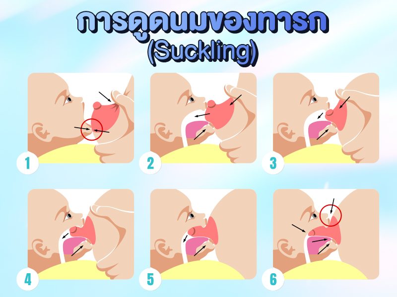 จุกนม เพียวรีน ซอฟท์เฟล็กซ์, pureen soft, จุกนมเด็ก, ขวดนมเด็ก, จุกนมนิ่ม นุ่ม, จุกนมเหมือนนมแม่, จุกนม ป้องกันโคลิก, รีวิวจุกนมเด็ก, รีวิวขวดนมเด็ก, รีวิว  เพียวรีน ซอฟท์เฟล็กซ์, pureen soft, รีวิวของใช้เด็ก, จุกนมยี่ห้อไหนดี, ขวดนมยี่ห้อไหนดี