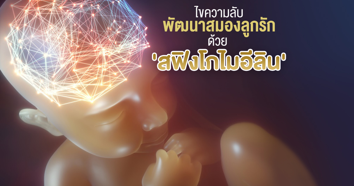 สฟิงโกไมอีลิน, สฟิงโกไมอีลิน คืออะไร, สฟิงโกไมอีลิน ช่วยเรื่องอะไร, สฟิงโกไมอีลิน ได้จากไหน, นม สฟิงโกไมอีลิน, สฟิงโกไมอีลิน ช่วยสร้างไมอีลิน, การทำงานของสมองทารก, สมอง, สมองลูกทารก, พัฒนาการสมองลูกทารก, พัฒนาการทารก, อาหารบำรุงสมอง ทารก